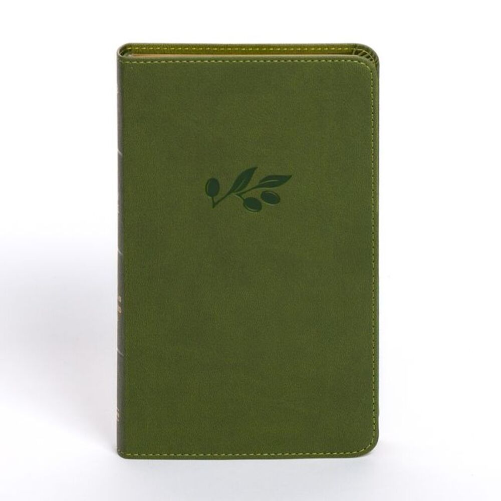 NASB Personal Size Bible, Olive Leathertouch -- Holman Bible Publishers